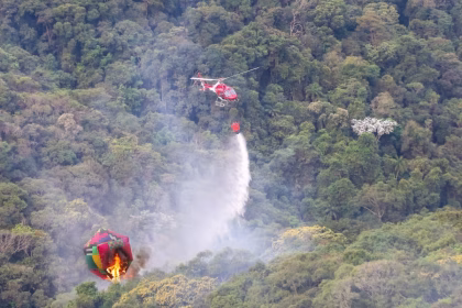 Governo de SP mobiliza força-tarefa com profissionais e equipamentos especializados para apoiar no combate a incêndios no Amazonas