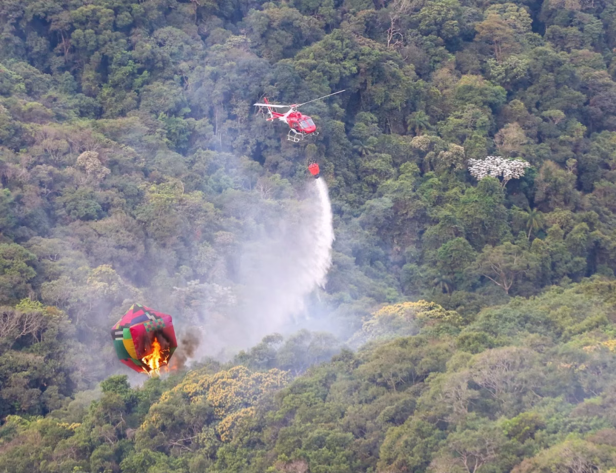 Governo de SP mobiliza força-tarefa com profissionais e equipamentos especializados para apoiar no combate a incêndios no Amazonas